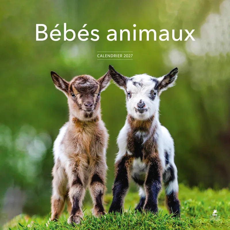Couverture — Calendrier 2027 Bébés animaux