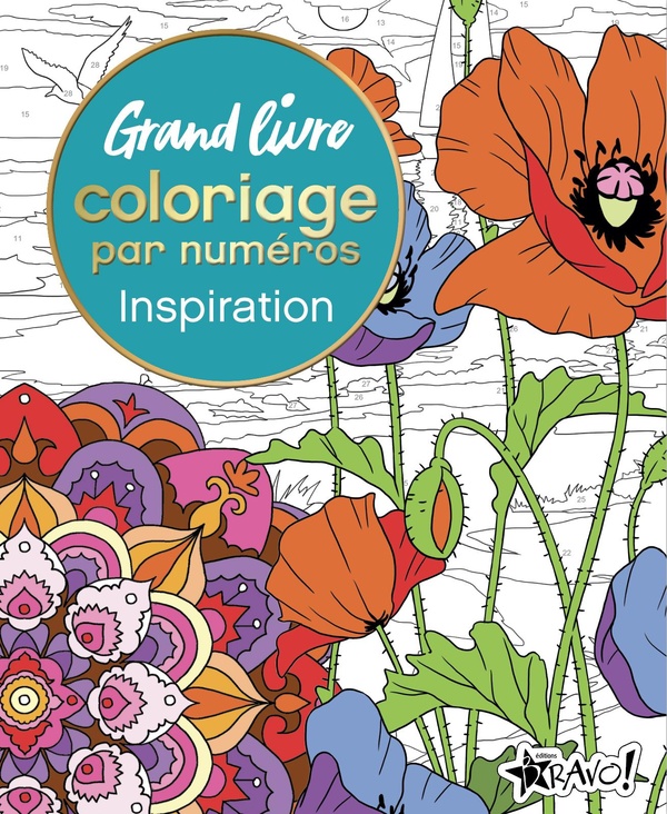 Couverture — Grand livre coloriage par numéros : Inspiration