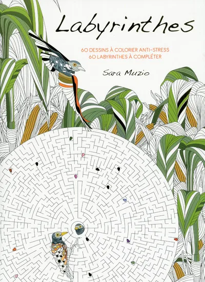 Couverture — Labyrinthes - 60 dessins à colorier anti-stress