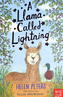 A Llama Called Lightning